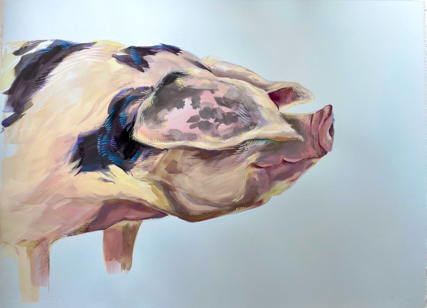 Big Pig