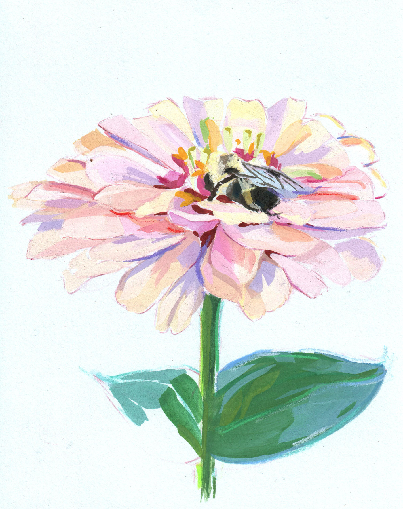Peach Zinna